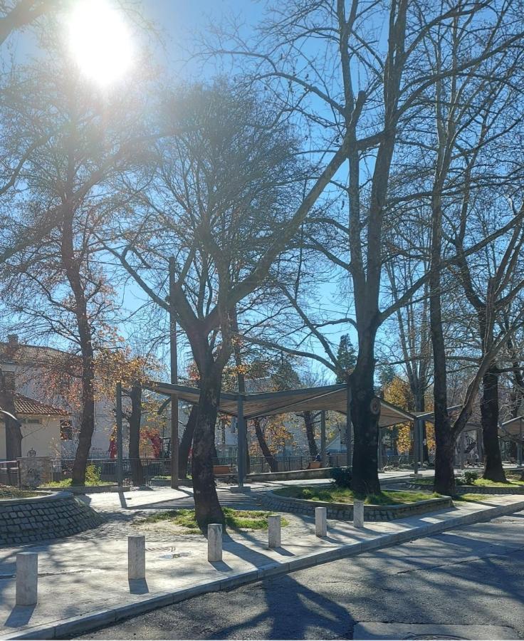 Fbm Anagenessis - Ευ Ζην Apartment Edessa Exterior foto