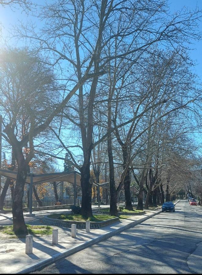 Fbm Anagenessis - Ευ Ζην Apartment Edessa Exterior foto
