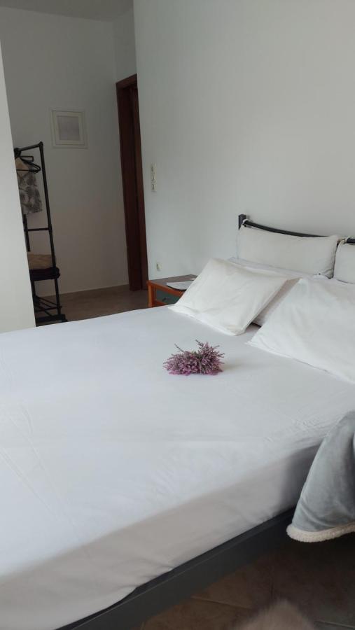 Fbm Anagenessis - Ευ Ζην Apartment Edessa Exterior foto