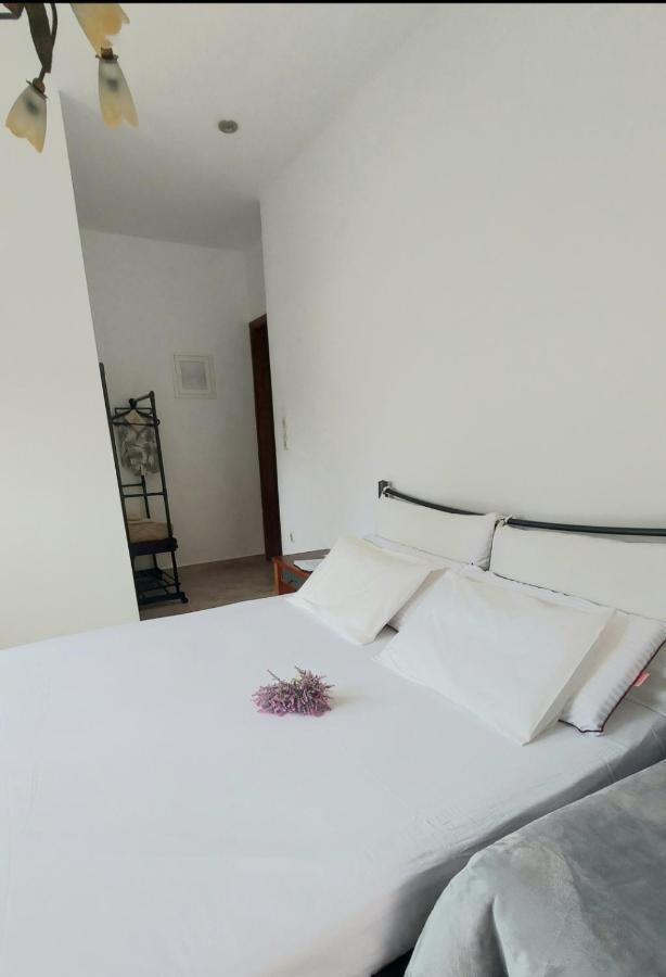 Fbm Anagenessis - Ευ Ζην Apartment Edessa Exterior foto